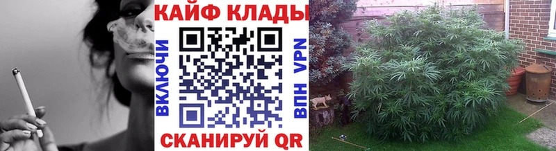Где купить наркоту Любань Галлюциногенные грибы  Меф  АМФ  A-PVP  ГАШ  Кокаин  Конопля 
