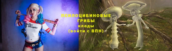 метамфетамин Алексин