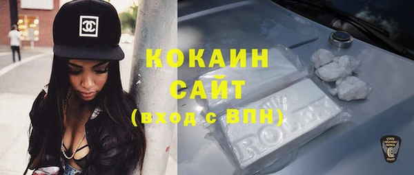 винт Алзамай